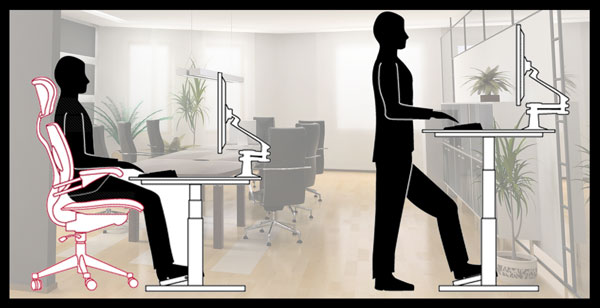 sit-stand-workstation